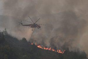 Φωτιά στον δήμο Τεμπών Λάρισας