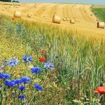 Xάθηκε στην πρόταση της ΕΕ για το ενιαίο Ταμείο το κονδύλι για τα περιβαλλοντικά προγράμματα
