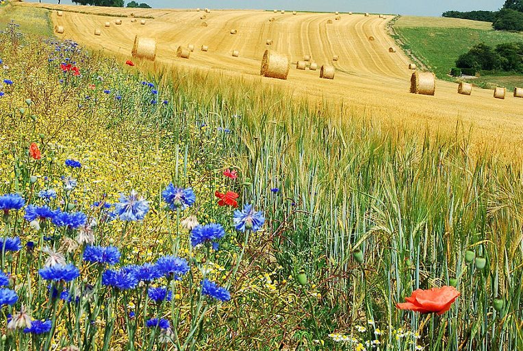 Xάθηκε στην πρόταση της ΕΕ για το ενιαίο Ταμείο το κονδύλι για τα περιβαλλοντικά προγράμματα