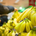 Μειωμένη κατά 15% προβλέπεται η φετινή παραγωγή μπανάνας της ΕΕ - Fresher