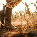 Ξηρασία ρεκόρ τον Ιούλιο για το 52% των εδαφών Ευρώπη και Μεσόγειο