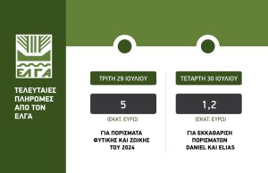 Πιστώθηκαν 5 εκατ. ευρώ από ΕΛΓΑ για ζημιές 2024, Τετάρτη 1.2 εκατ. για Ντάνιελ