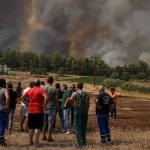 Στη Διαύγεια η απόφαση για ενίσχυση αποκατάστασης φυτικού κεφαλαίου από πυρκαγιές 2021