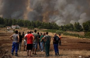Στη Διαύγεια η απόφαση για ενίσχυση αποκατάστασης φυτικού κεφαλαίου από πυρκαγιές 2021