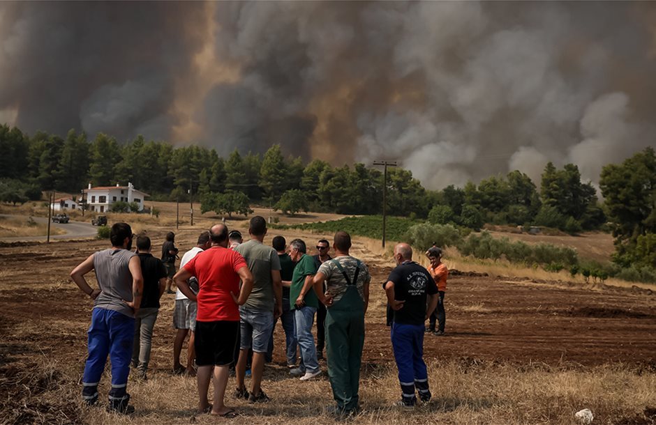 Στη Διαύγεια η απόφαση για ενίσχυση αποκατάστασης φυτικού κεφαλαίου από πυρκαγιές 2021