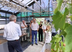 Εργαστήριο-φάρος για το μέλλον των ελαιώνων στην εποχή της ξηρασίας