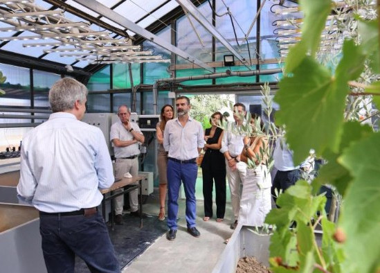 Εργαστήριο-φάρος για το μέλλον των ελαιώνων στην εποχή της ξηρασίας