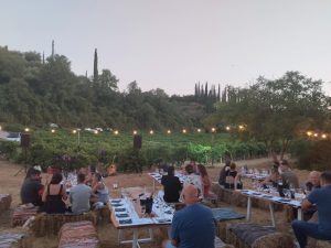 Πάρτι υπό το φως της πανσέληνου στους αμπελώνες της Οινοποιίας Ψαρούλη - Winetrails