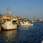 Τριήμερο γεύσεων και τοπικής φιλοξενίας η γιορτή γαύρου στη Νέα Σκιώνη
