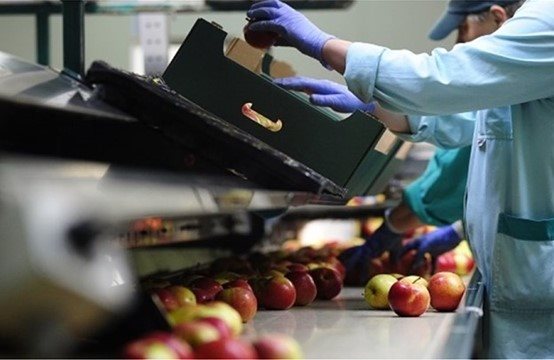 Αιτήσεις Αναπτυξιακού για μεταποίηση ως 75% η ενίσχυση