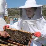 Εγγράφεται στο Εθνικό Ευρετήριο Άυλης Πολιτιστικής Κληρονομιάς η μελισσοκομική παράδοση Κυθήρων
