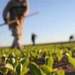 Στα 40 εκατ. ευρώ η συνεισφορά του Νέα Γεωργία Νέα Γενιά στην ελληνική οικονομία την περίοδο 2018-23