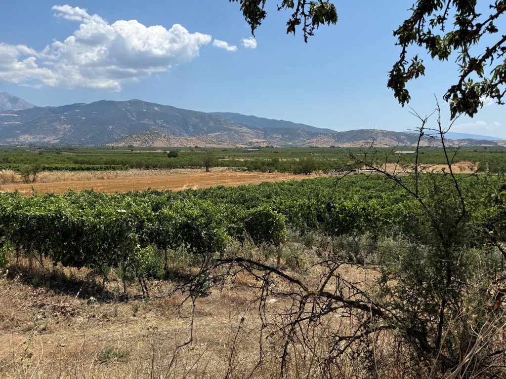 Ψήνεται σολωμόντεια λύση στο θέμα του ΑΤΑΚ για να προχωρήσουν οι δηλώσεις