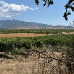Ψήνεται σολωμόντεια λύση στο θέμα του ΑΤΑΚ για να προχωρήσουν οι δηλώσεις