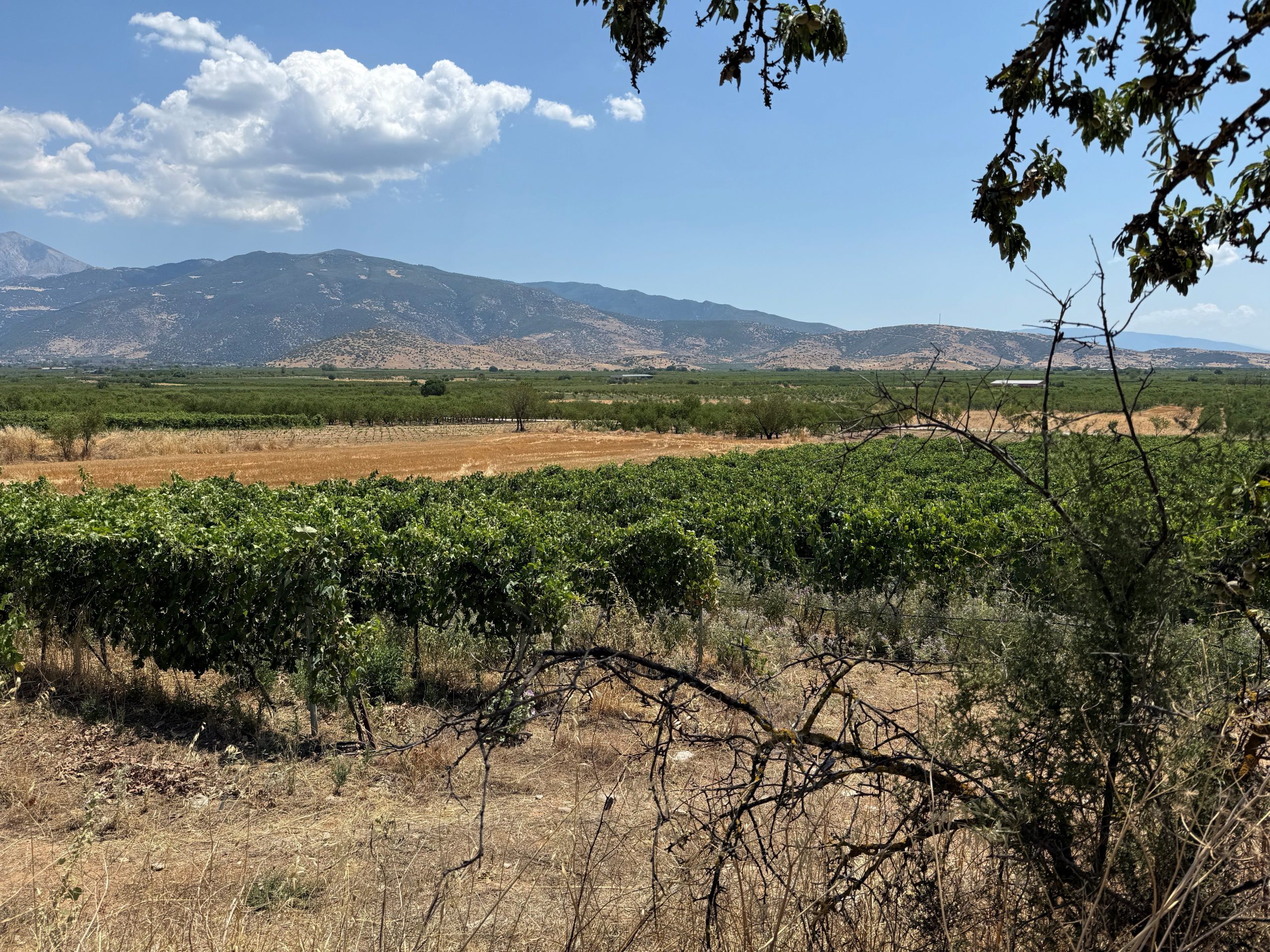Ψήνεται σολωμόντεια λύση στο θέμα του ΑΤΑΚ για να προχωρήσουν οι δηλώσεις