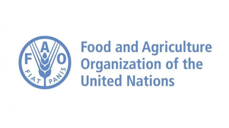 FAO: Αύξηση 14% στην παγκόσμια αγροτική παραγωγή έως το 2034