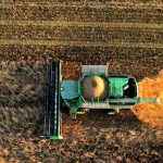 Πλεόνασμα 22,5 δισ. ευρώ για το εμπόριο αγροτικών προϊόντων της ΕΕ στο α' τετράμηνο 2025