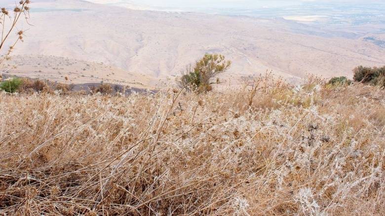 Ζέστη και ενίσχυση ανέμων, κίνδυνος για πυρκαγιά