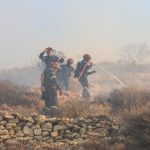 Μεγάλη φωτιά στο Σκαλοχώρι Λέσβου – Πνέουν ισχυροί άνεμοι