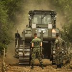 Χωρίς ενεργό μέτωπο η φωτιά στον Φενεό Κορινθίας – Υπό έλεγχο η πυρκαγιά στους Αρριανούς Ροδόπης