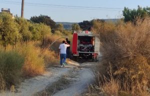 Φωτιά στη βόρεια Κέρκυρα – Καίει ξερά χόρτα