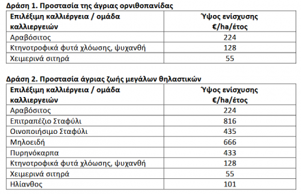 Στον αέρα η προδημοσίευση για την άγρια ορνιθοπανίδα, εντός του έτους οι αιτήσεις