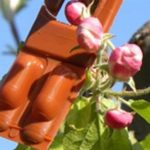 Τροποποιήσεις στον τρόπο υποβολής παραστατικών για το ΚΟΜΦΟΥΖΙΟ του 2025
