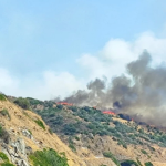 Χωρίς ενεργό μέτωπο η φωτιά στο Λάχι Λακωνίας