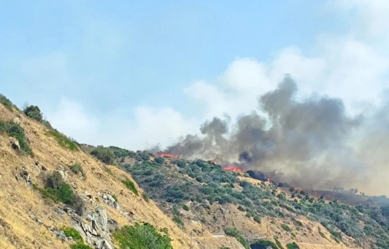 Χωρίς ενεργό μέτωπο η φωτιά στο Λάχι Λακωνίας