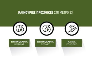 Με 150 ευρώ το στρέμμα η ένταξη ροδάκινων Ημαθίας και Πέλλας στο Μέτρο 23, δεύτερη επέκταση  15 εκατ.