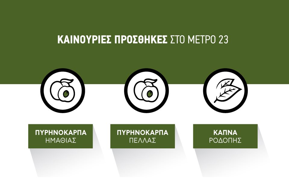 Με 150 ευρώ το στρέμμα η ένταξη ροδάκινων Ημαθίας και Πέλλας στο Μέτρο 23, δεύτερη επέκταση  15 εκατ.
