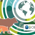 Αύξηση 14% στην παγκόσμια αγροτική παραγωγή έως το  2034 θα κρατήσει τις τιμές