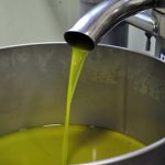 Ελαίας Καρπός