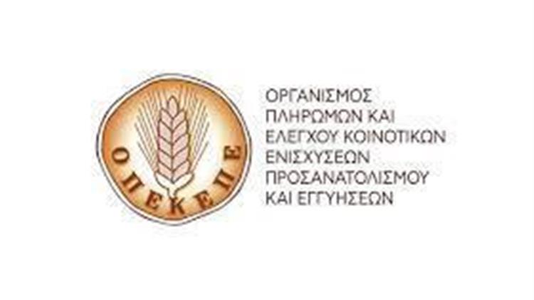 Ψηφιοποιημένα όλα τα στοιχεία που απαιτούνται για τους ελέγχους