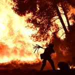 Νύχτα «κόλασης» στον Ωρωπό – «Η φωτιά είναι κοντά στον οικισμό Ασπροχωρίου», είπε ο δήμαρχος