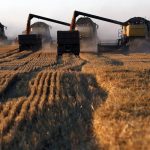 Σβήνει τον εξαγωγικό δασμό 40 ευρώ ο τόνος η Ρωσία για όλα τα σιτάρια από 2 Ιουλίου