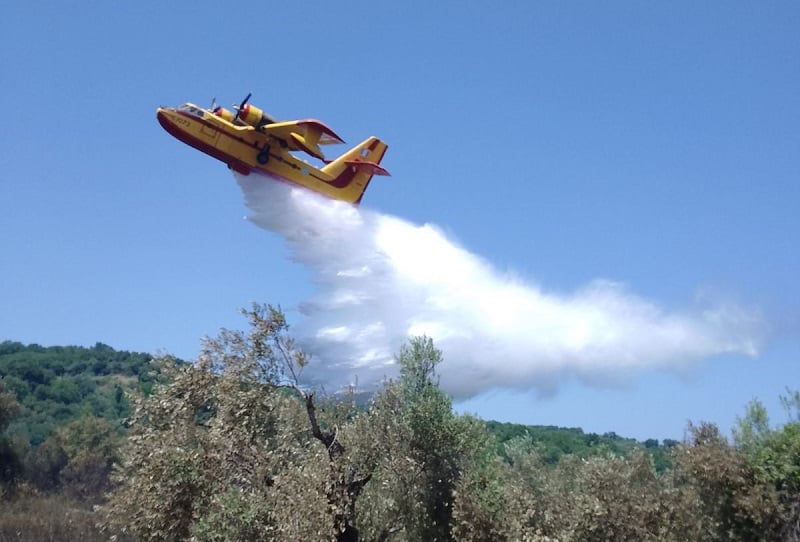 Φωτιά στην Αργολίδα