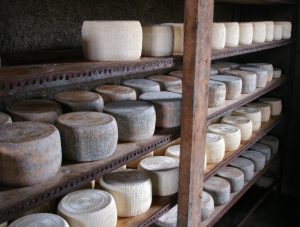 Προς διευθέτηση από την ΕΑΣ Νάξου οι νομικές διαδικασίες για δικό της ΠΟΠ Αρσενικό αλλά και σχέδια για συνεταιριστικό πάρκο αγελαδοτροφίας και τυποποιητήριο - Τυροκόμος