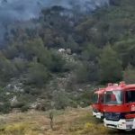 Φωτιά στην Πεδινή Ιωαννίνων