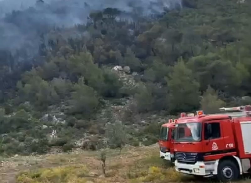 Φωτιά στην Πεδινή Ιωαννίνων