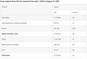 Αγροτικές Ειδήσεις: Οι εξαγωγές σιτηρών της ΕΕ σημειώνουν πτώση 34% αυτή τη σεζόν