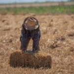 Στεγνός… από χρήμα φέτος ο 15Αύγουστος, «φέσι» 500 εκατ. ευρώ βιολογικά, ζωονόσοι,  Μέτρο 23 στο πουθενά