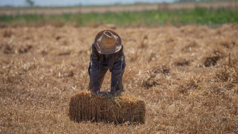 Στεγνός… από χρήμα φέτος ο 15Αύγουστος, «φέσι» 500 εκατ. ευρώ βιολογικά, ζωονόσοι,  Μέτρο 23 στο πουθενά