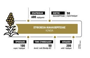Πρόσοδο έως 200 ευρώ το στρέμμα με έξοδα 50 ευρώ για την καινοτόμα κινόα