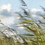 Τοπικά θυελλώδεις άνεμοι και υψηλές θερμοκρασίες