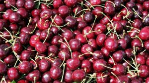 Οι αρχές της Κίνας εγκρίνουν την εισαγωγή ισπανικών κερασιών