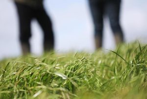 Πιέσεις για καταχώρηση ψευδών στοιχείων στις φετινές δηλώσεις ΟΣΔΕ