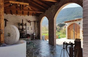 Τέσσερις ημερίδες ενημέρωσης ελαιοτριβείων ανά την Ελλάδα οργανώνει ο ΠΑΣΕΛ