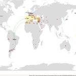 Αγροτικές Ειδήσεις: Ελαιόλαδο: Η νέα παγκόσμια αρένα για το “πράσινο χρυσάφι”