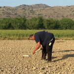 Από 1η μέχρι 20 Σεπτεμβρίου οι άδειες φύτευσης αμπέλου, τα κριτήρια προτεραιότητας - Winetrails